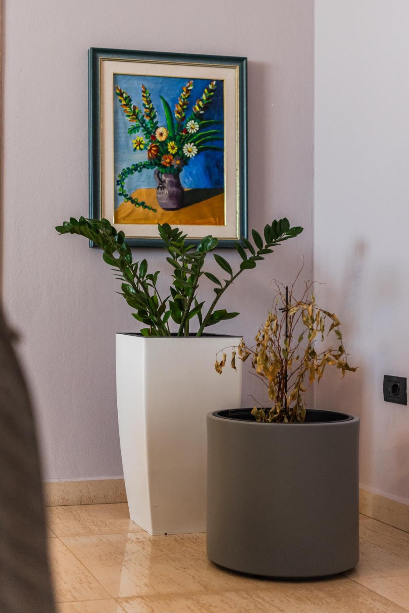 Main Square Apartment Dıraç Dış mekan fotoğraf